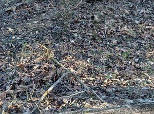 # 20,21,23 Brentwood Drive, Theodosia, MO 65761