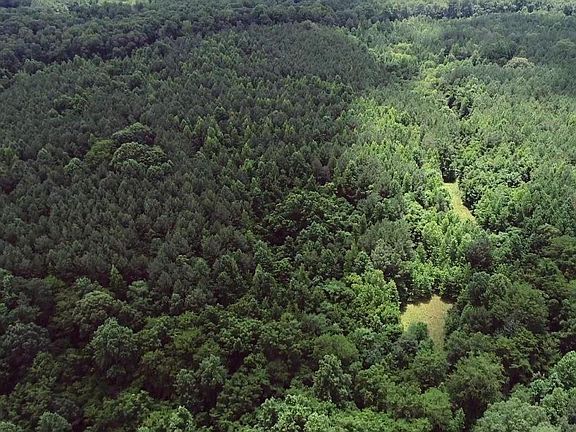 The property is mostly deciduous forest with some open spaces. 