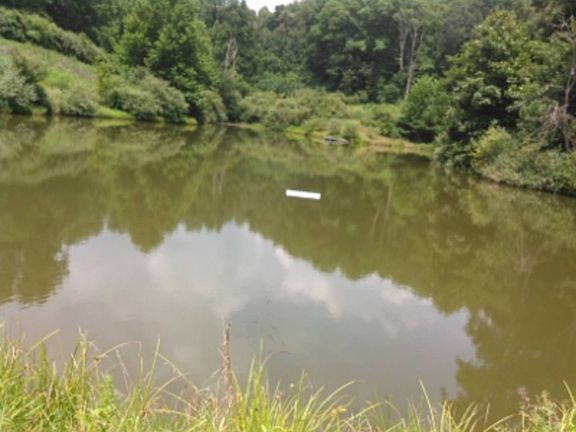 4th image of 877 Speed Rd