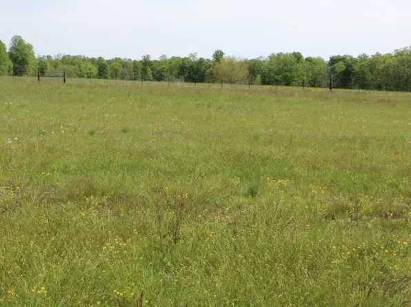 7696 Rocky Mound Rd, Westmoreland, TN 37186