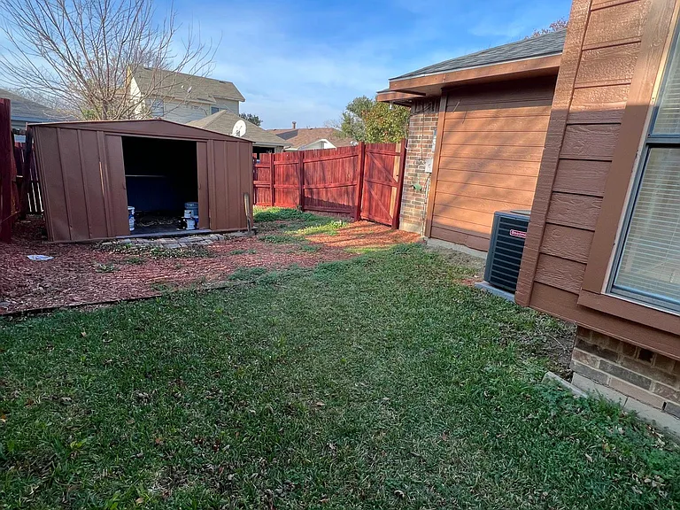 Backyard