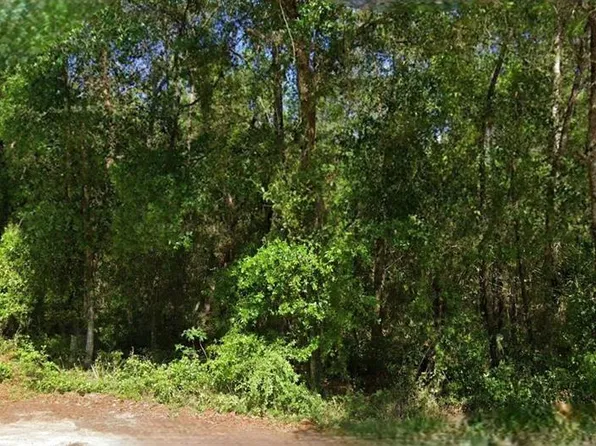 NE 6th Lane Rd Lot 6, Silver Springs, FL 34488