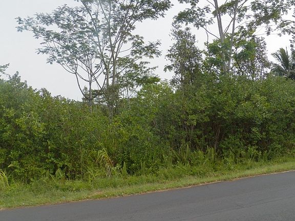 2nd image of 22nd Avenue Nanialii Lot 322