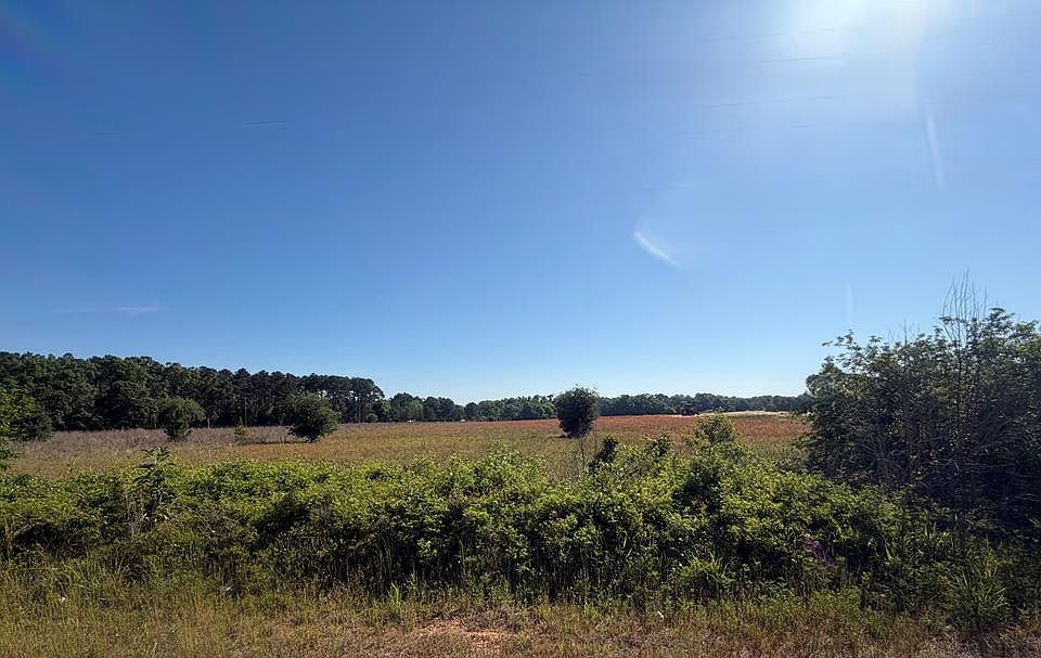 1st image of Singletary Rd