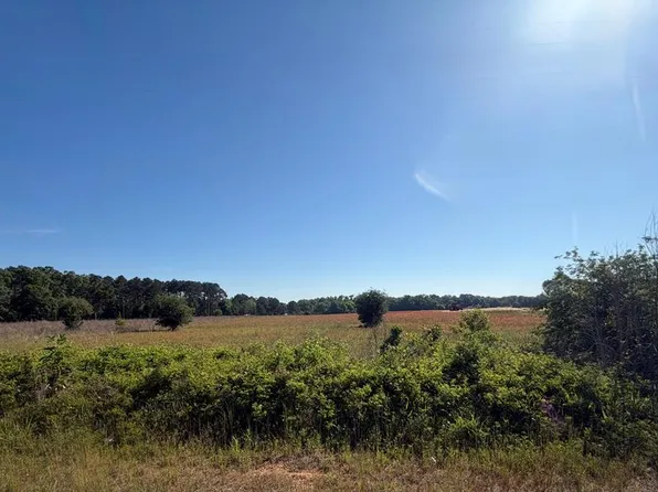 Singletary Rd, Slocomb, AL 36375