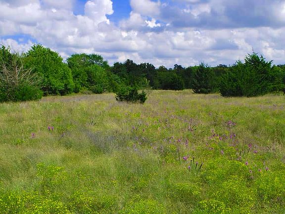 3rd image of 2515 County Road 1110
