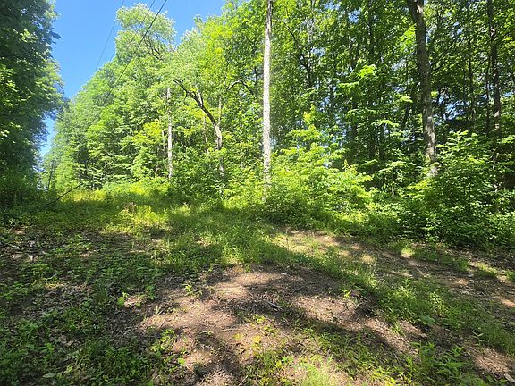 5th image of Tbd Forest Rd