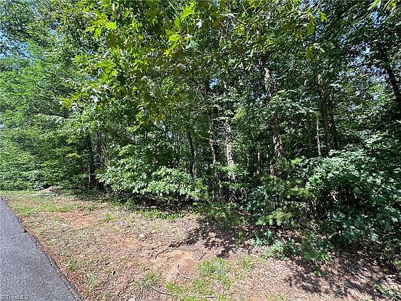 2nd image of 0 John Byrd Rd