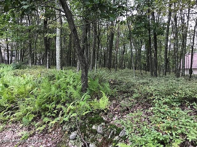 2nd image of 149 Pine Valley Ln