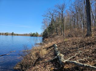 TRACT Swanson Rd #B, Deerwood, MN 56444