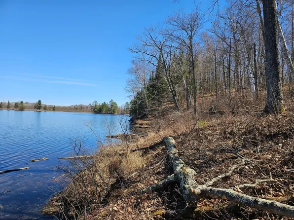 TRACT Swanson Rd #B, Deerwood, MN 56444