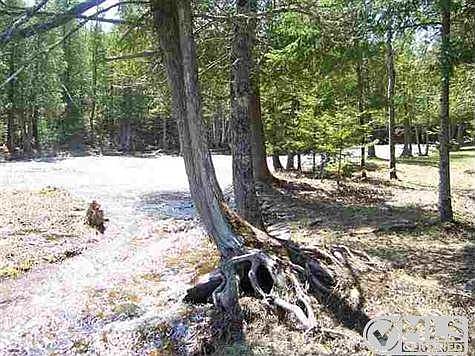 5th image of 2721 Hunters Brook 28.5 Ln