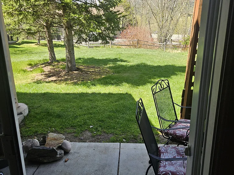 Front Yard