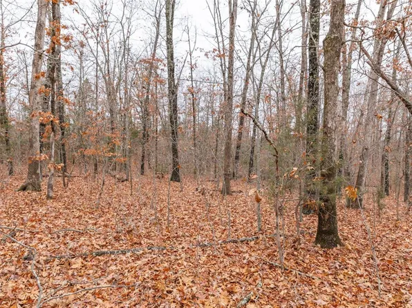 0 Bernice Dr, Bonne Terre, MO 63628