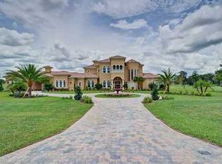 12214 Stonelake Ranch Blvd, Thonotosassa, FL 33592