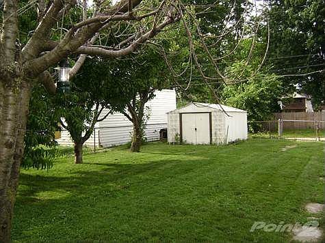 Fenced Back Yard