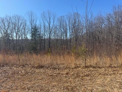 11 Thompson Ridge Cir, Ferrum, VA, 24088