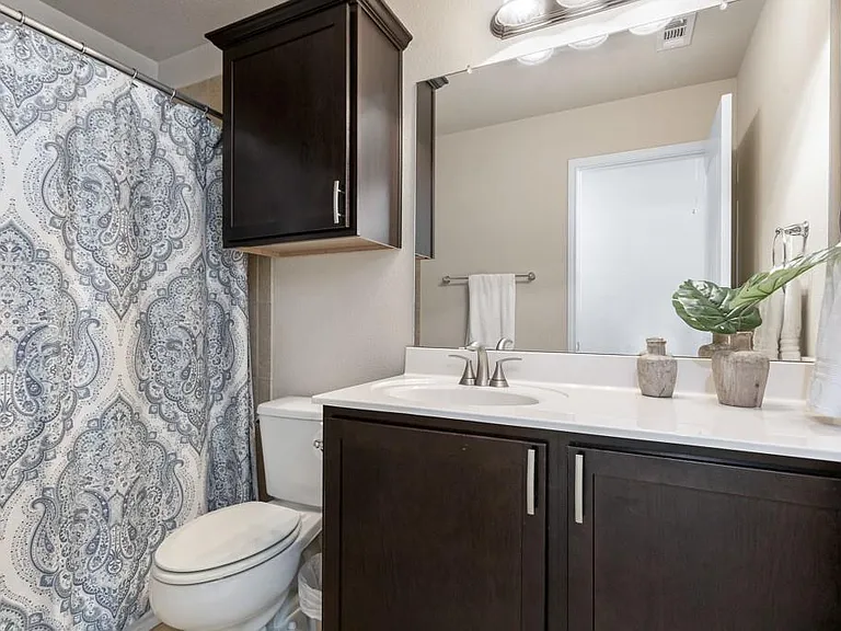 11217 Persimmon Gap Dr — Photo 25