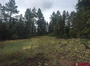 313 Deer Trail Rd, Durango, CO 81303