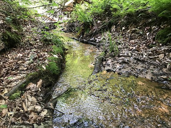 Creek
