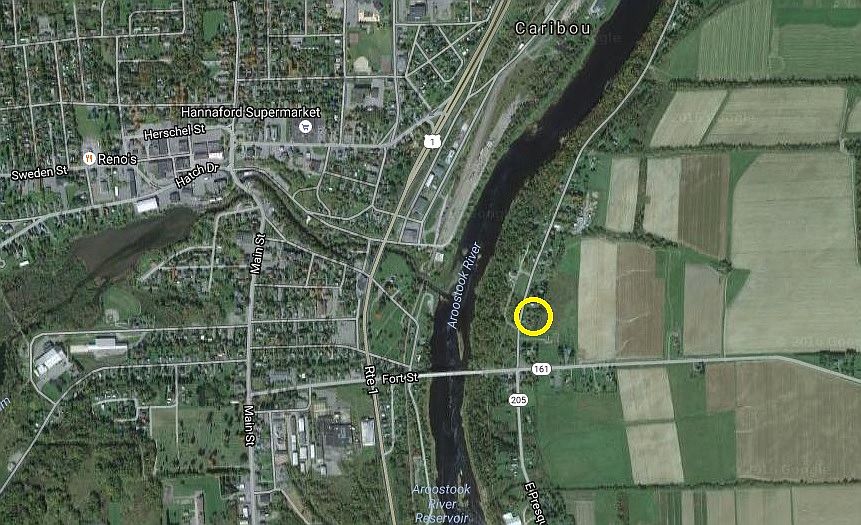 2nd image of 11 Red Doe Cv