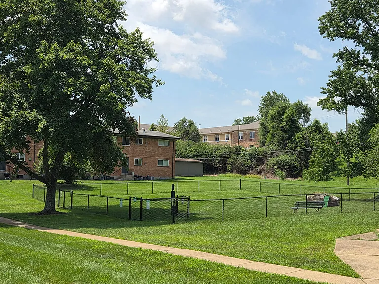 Enclosed Dog Park with Shade and Seating
