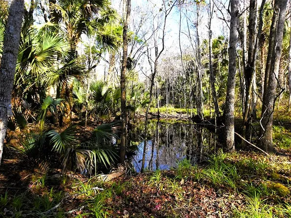 4721 Lingo Grove Rd Lot 133, Edgewater, FL 32141