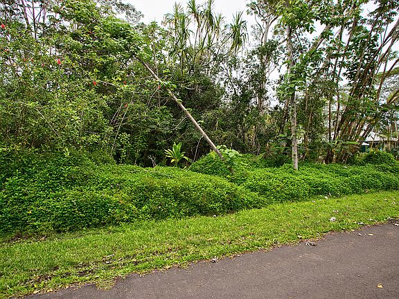 5th image of Nenue St Lot 1368