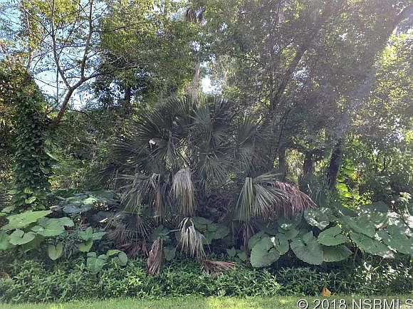 2nd image of Palm Dr