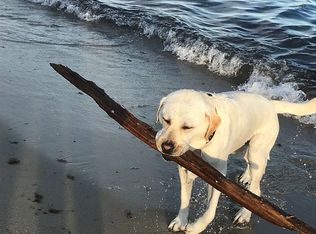 18 Little Neck Ln, Mashpee, MA 02649