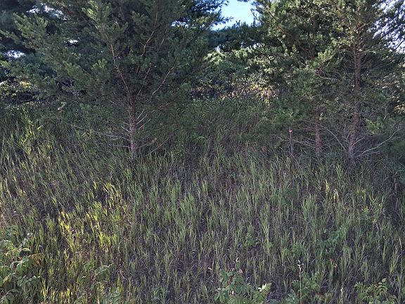 4th image of Overland Dr