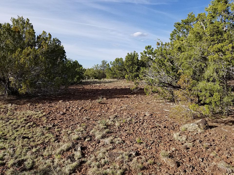 1st image of 733 E Coconino Trl