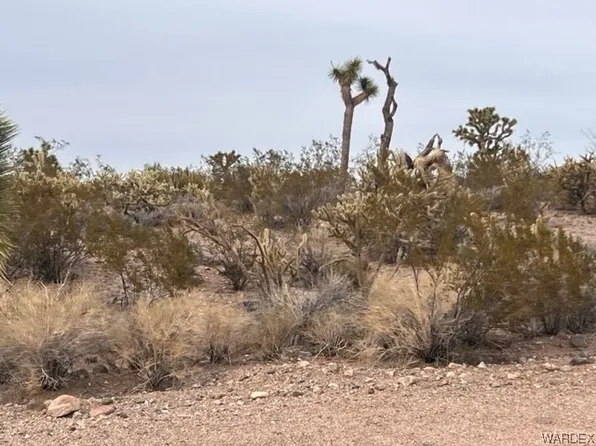 11466 W Rocking Horse Dr, Willow Beach, AZ 86445