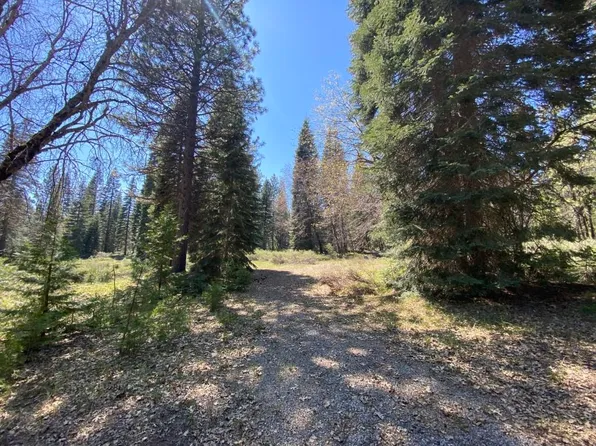 1-D-19 Shastina Ct, McCloud, CA 96057