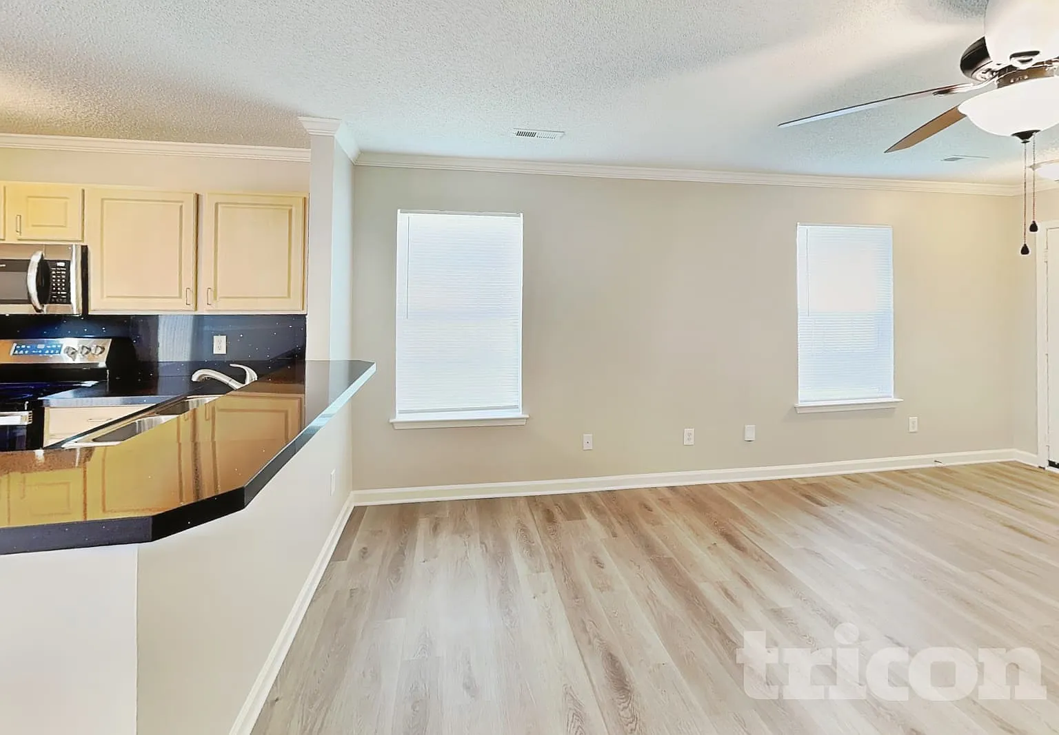 12209 Stewarts Crossing Drive Charlotte NC — Photo 3