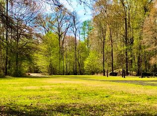 1041 Edisto River Rd, Reevesville, SC 29471