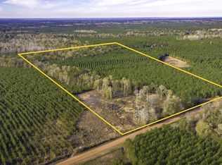 950 Tram Rd, Livingston, TX 77351