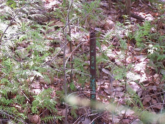 4th image of Spile Dam Rd Lot 47