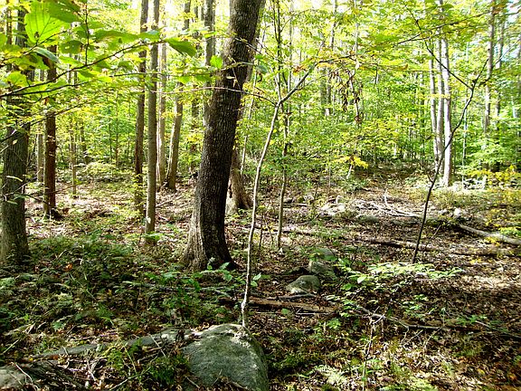 509 Opening Hill Road