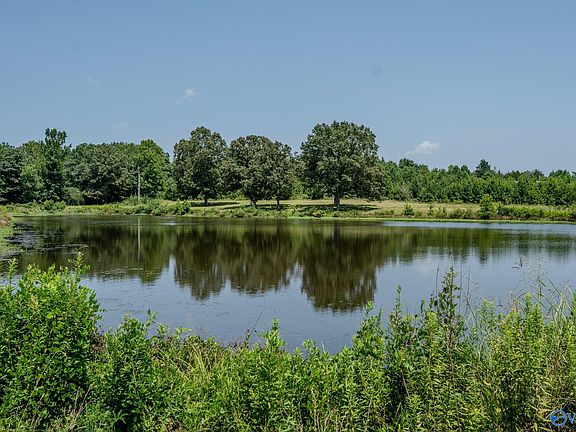 4th image of 315 County Road 250