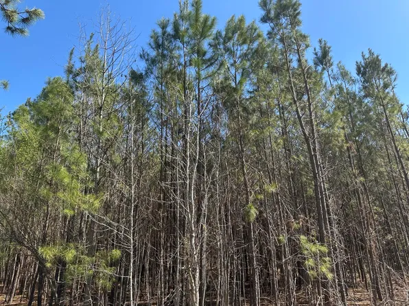 1726 Highway 61, Ridgeville, SC 29472