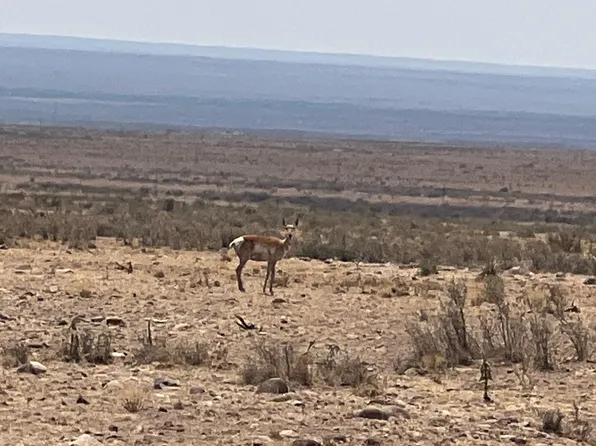 Rolling Hls Lot 47, Socorro, NM 87801
