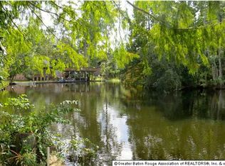 31764 River Pines Dr, Springfield, LA 70462