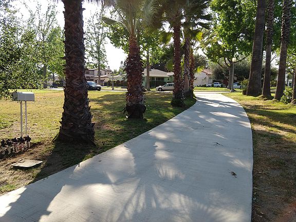 looking toward the street / partial front yard