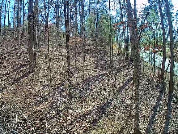2nd image of 0 Northwoods Ln #15
