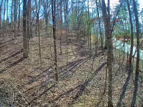 0 Northwoods Ln #15, Trenton, GA 30752