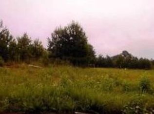 309 Trae Ct, Hampton, GA 30228