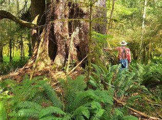 (Undisclosed Address), Forks, WA 98331