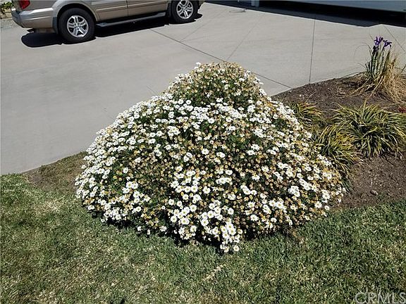 3rd image of 412 Willowgrove Ave