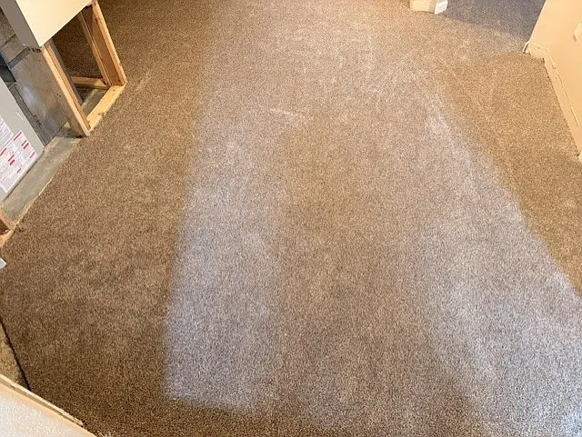 New carpet photo